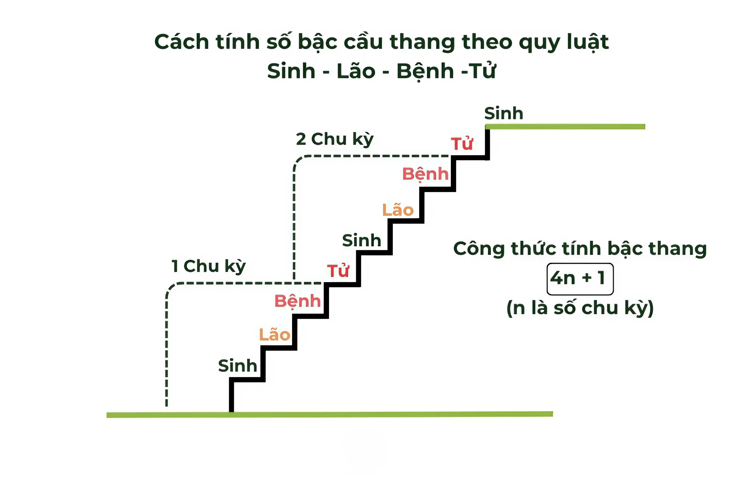 Cách tính bậc cầu thang phong thủy theo quy luật ngũ hành “Sinh - Lão - Bệnh - Tử