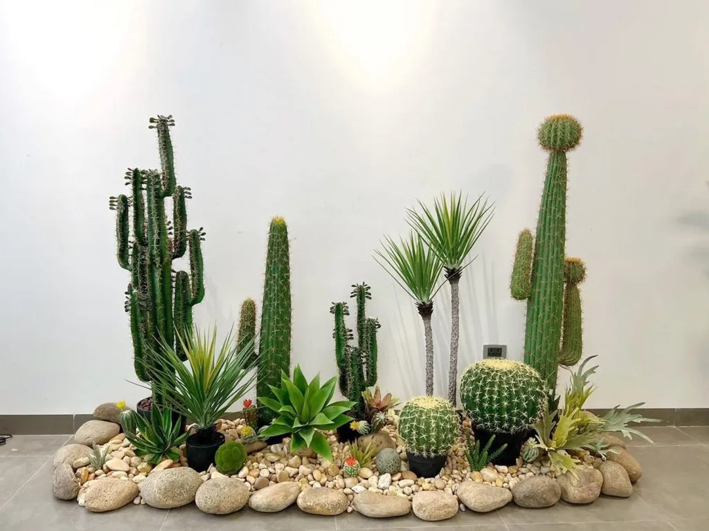 Một trong số những cây kiêng kỵ trồng trước nhà bao gồm cây xương rồng